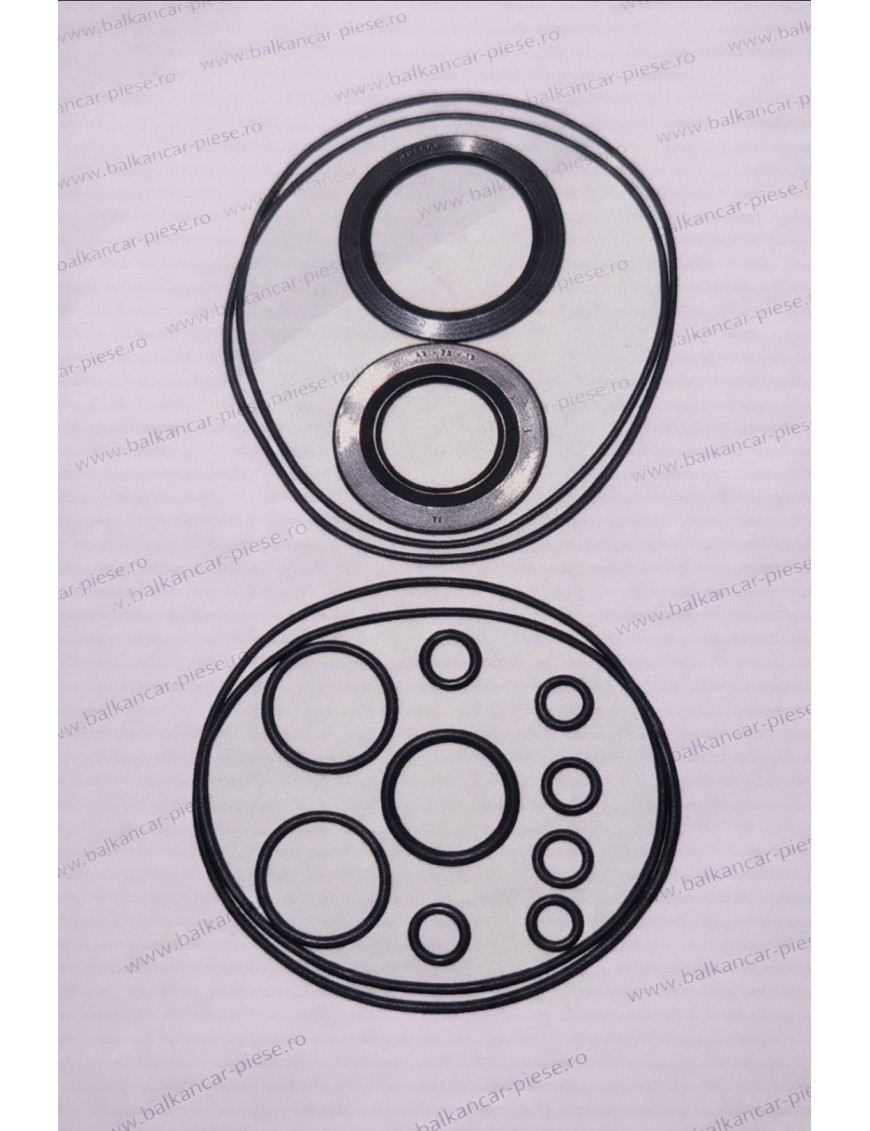 Set inele cutie viteze Balkancar | Inele etansare transmisie