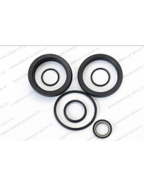 Set garnituri cilindru inclinare FI 40 Balkancar | Kit tilt