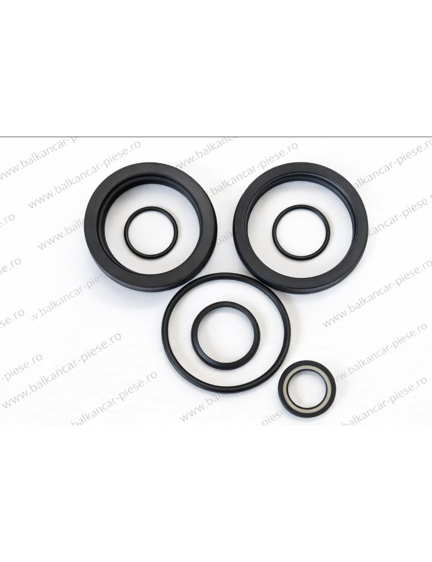 Set garnituri cilindru inclinare FI 40 Balkancar | Kit tilt