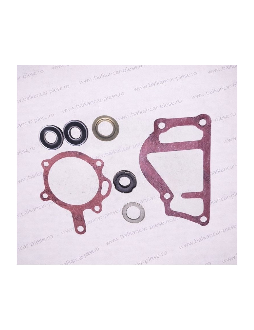 Kit reparatie pompa apa D3900 Balkancar | Set pompa apa