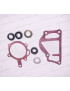 Kit reparatie pompa apa D3900 Balkancar | Set pompa apa