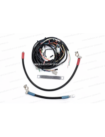 Instalație electrică Balkancar | Cablaj stivuitor Balkancar