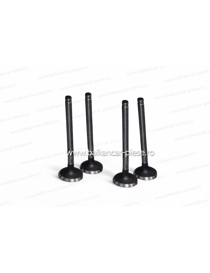 Supape motor Balkancar | Supape stivuitor Balkancar
